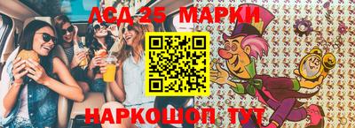 apvp Кингисепп