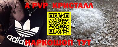 apvp Кингисепп