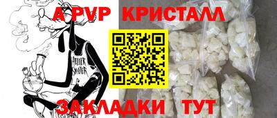apvp Кингисепп
