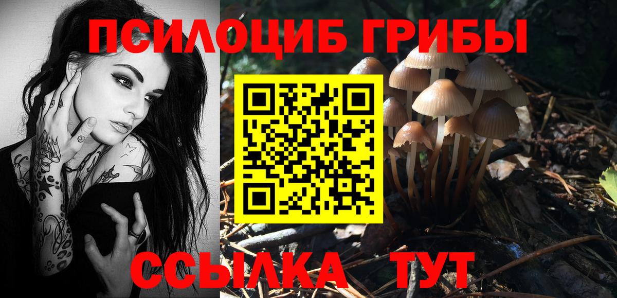 Галлюциногенные грибы прущие грибы Кириши