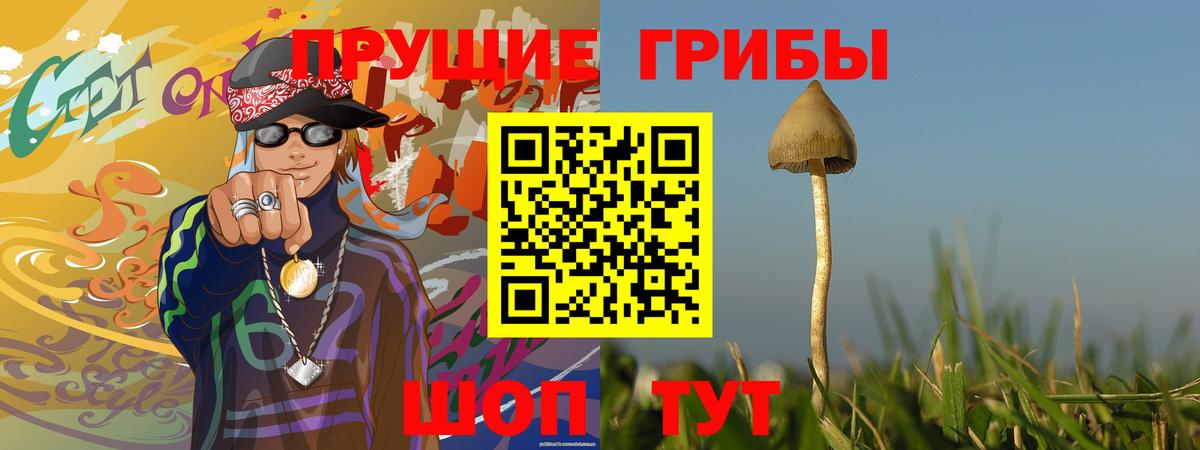Галлюциногенные грибы Psilocybine cubensis  Вход с VPN  Кириши  Галлюциногенные грибы Magic Shrooms 